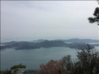 thumbnail of IMG_0876